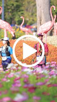 BIB:  <button type="button" onclick="openModal(27588537)" class="btn btn-primary btn-sm float-right" data-toggle="modal" data-target=".modal-high-quality">
                <i class="fa fa-download"></i> Download
                </button>